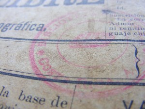 biblioteca 237 copy.jpg